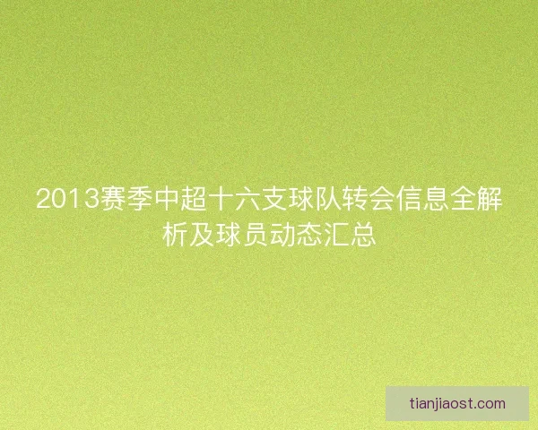 2013赛季中超十六支球队转会信息全解析及球员动态汇总